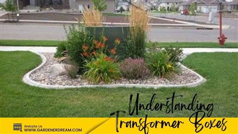 planting transformer box in yard